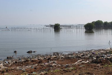 Sahilde çöp.