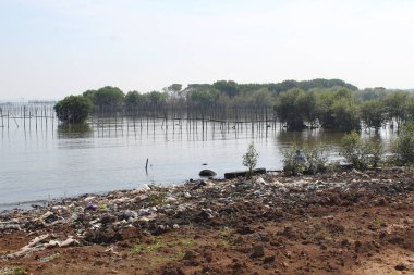 Sahilde çöp.