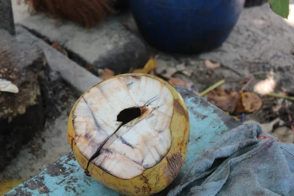 음료수로 제공되는 코코넛 — 스톡 사진