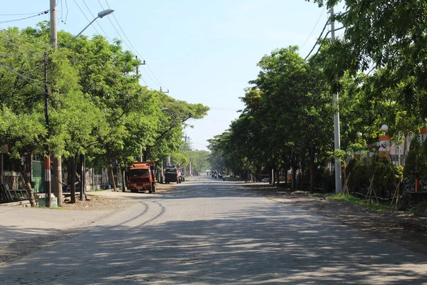 Pterocarpus Indicus Árvores Longo Caminho — Fotografia de Stock