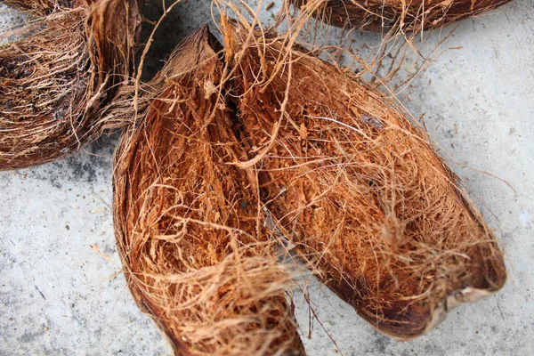 Whole Coir Coconuts Being Dried — Stock Photo, Image