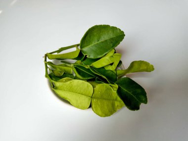 Kafir kireç yaprakları, ya da Citrus hystrix yaprakları, küçük bir tabakta. Beyaz arkaplanda izole edilmiş