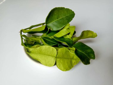 Kafir kireç yaprakları, ya da Citrus hystrix yaprakları, küçük bir tabakta. Beyaz arkaplanda izole edilmiş