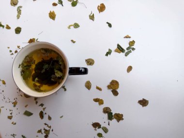 Moringa oleifera bitkisel çay gibi, beyaz arka planda izole edilmiş.