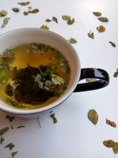 Moringa Oleifera Gyógynövény Tea Belül Átlátszó Üveg Elszigetelt Fehér Alapon — Stock Fotó