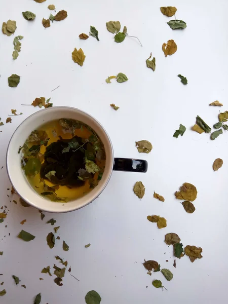 Moringa Oleifera Als Kräutertee Transparentem Glas Isoliert Auf Weißem Hintergrund — Stockfoto