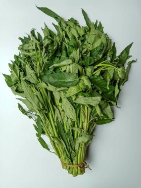 Bir grup Ipomoea Aquatica, beyaz arka planda izole edilmiş.