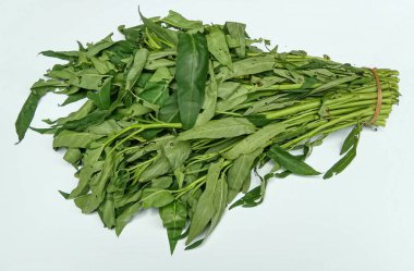 Bir grup Ipomoea Aquatica, beyaz arka planda izole edilmiş.