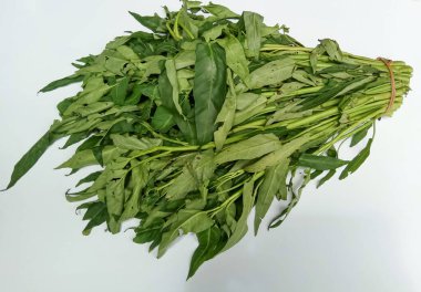 Bir grup Ipomoea Aquatica, beyaz arka planda izole edilmiş.