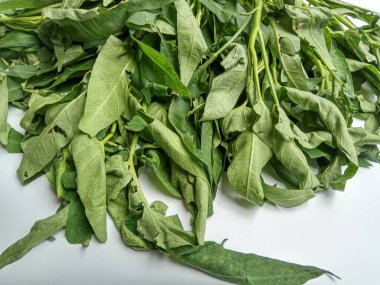 Bir grup Ipomoea Aquatica, beyaz arka planda izole edilmiş.