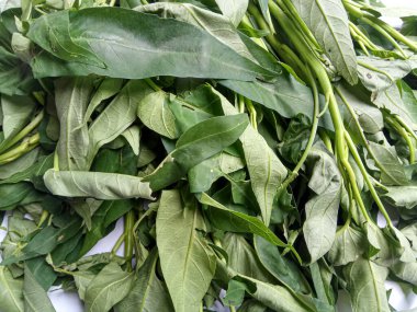 Bir grup Ipomoea Aquatica, beyaz arka planda izole edilmiş.