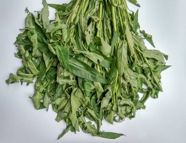 Bir grup Ipomoea Aquatica, beyaz arka planda izole edilmiş.