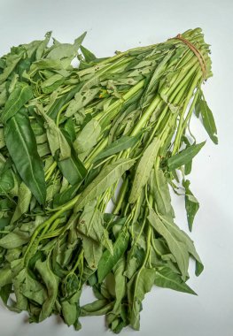 Bir grup Ipomoea Aquatica, beyaz arka planda izole edilmiş.