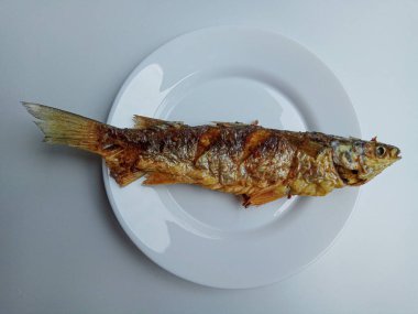 Moolgarda Seheli 'den kızarmış balık, ya da Valamugil Seheli, ya da mavi benekli aslan yelesi, ya da mavi kuyruklu aslan yelesi. Endonezya 'da belanak balığı denir..