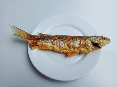 Moolgarda Seheli 'den kızarmış balık, ya da Valamugil Seheli, ya da mavi benekli aslan yelesi, ya da mavi kuyruklu aslan yelesi. Endonezya 'da belanak balığı denir..