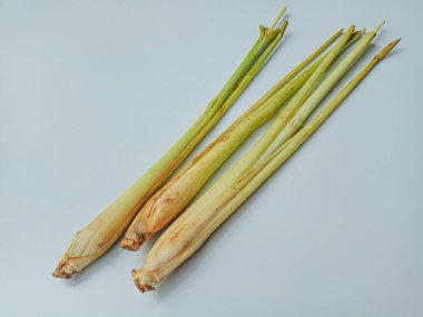 Cymbopogon sitratus veya limon otu. Kapatın. Beyaz arkaplanda izole