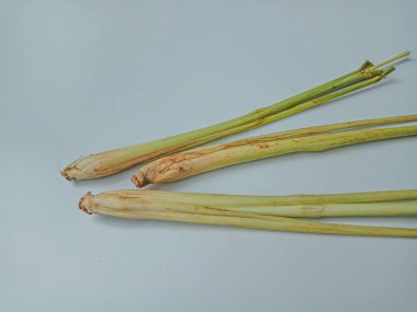 Cymbopogon sitratus veya limon otu. Kapatın. Beyaz arkaplanda izole