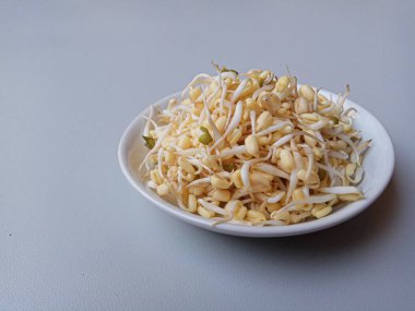 Mung fasulyesi filizleri, küçük beyaz tabağın içinde.