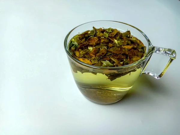 Moringa Oleifera Mint Gyógynövény Tea Belül Átlátszó Üveg Fehér Alapon — Stock Fotó