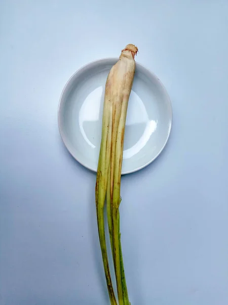 Cymbopogon Citratus Hierba Limón Aislado Sobre Fondo Blanco — Foto de Stock