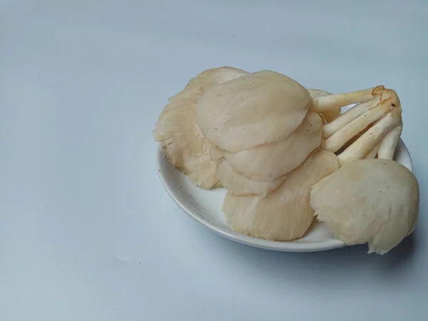 Pleurotus Ostreatus Hongo Ostra Hongo Comestible — Foto de Stock