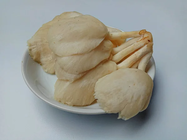 레우로 올트라 Pleurotus Ostreatus 버섯은 버섯이다 — 스톡 사진