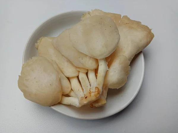 牡蛎或牡蛎蘑菇是一种可食用的蘑菇 — 图库照片