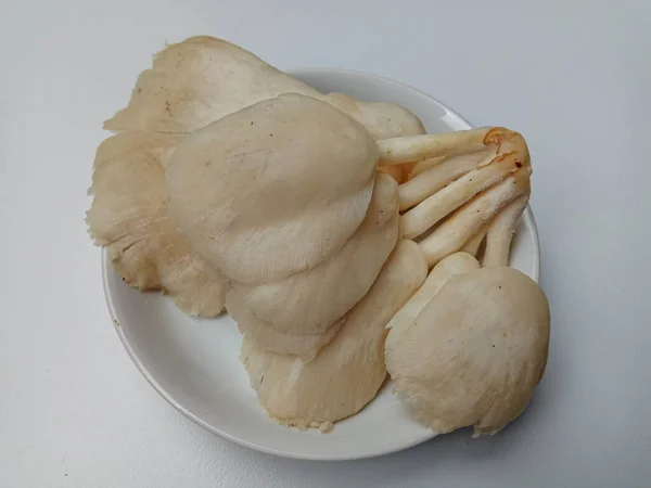 Pleurotus Ostreatus Oder Austernpilz Ist Ein Essbarer Pilz — Stockfoto