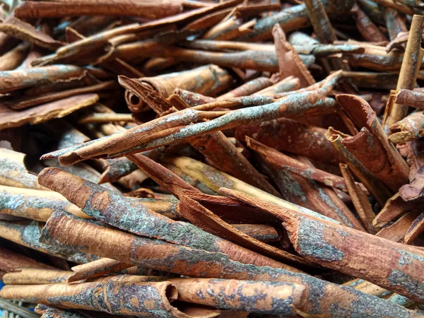 Cinnamomum cassia. Heap of dried and crushed cinnamon sticks, with left-over outer bark, or unfinished shaving.