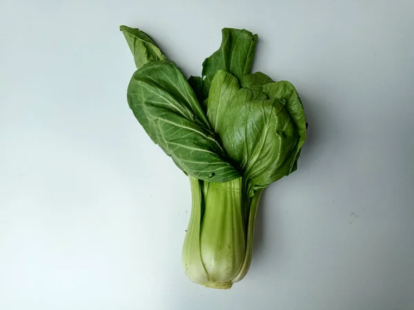 Brassica Rapa Chinensis Chinese Cabbage Pakcoy Bok Choy Isolated White — Stock Photo, Image