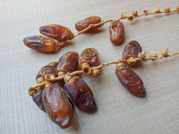 Deglet Nour Dates Royal Dates Fates Fruits Phoenix Dactylifera Attached — стоковое фото