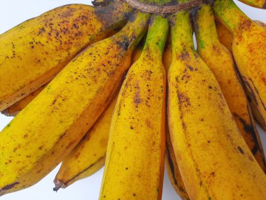 AAB grubundan bir tarak raja veya pisang raja veya Musa paradisiaca. Beyaz arkaplanda izole edilmiş