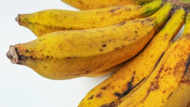 AAB grubundan bir tarak raja veya pisang raja veya Musa paradisiaca. Beyaz arkaplanda izole edilmiş