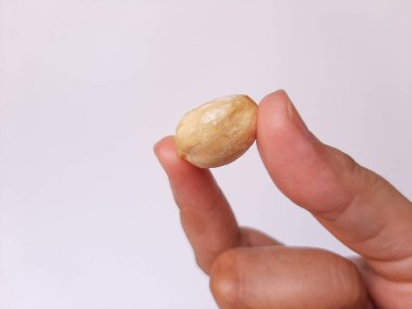 Aleurite moluccanus veya Kemiri adı verilen Endonezya Candlenuts, beyaz arka planda izole edilmiş bir smale plakasının içinde.