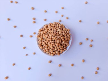 Kurutulmuş Glycine Max, soya fasulyesi veya soya fasulyesi, beyaz bir tabağın içinde, beyaz arka planda izole edilmiş.