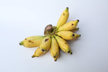 Bir tarak Lady Finger Bananas veya Sugar Bananas veya Fig Bananas veya Date Bananas veya Moses Acuminata. Beyaz arkaplanda izole