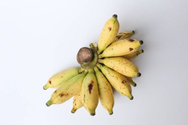 Bir tarak Lady Finger Bananas veya Sugar Bananas veya Fig Bananas veya Date Bananas veya Moses Acuminata. Beyaz arkaplanda izole