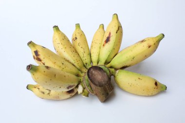 Bir tarak Lady Finger Bananas veya Sugar Bananas veya Fig Bananas veya Date Bananas veya Moses Acuminata. Beyaz arkaplanda izole