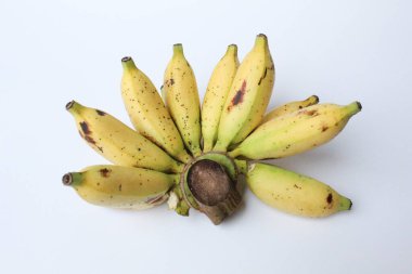 Bir tarak Lady Finger Bananas veya Sugar Bananas veya Fig Bananas veya Date Bananas veya Moses Acuminata. Beyaz arkaplanda izole