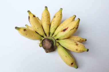 Bir tarak Lady Finger Bananas veya Sugar Bananas veya Fig Bananas veya Date Bananas veya Moses Acuminata. Beyaz arkaplanda izole