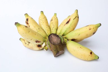 Bir tarak Lady Finger Bananas veya Sugar Bananas veya Fig Bananas veya Date Bananas veya Moses Acuminata. Beyaz arkaplanda izole