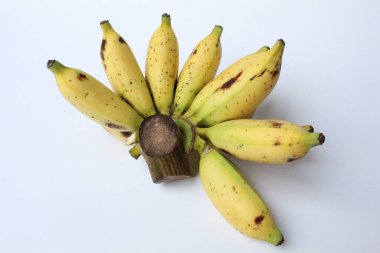 Bir tarak Lady Finger Bananas veya Sugar Bananas veya Fig Bananas veya Date Bananas veya Moses Acuminata. Beyaz arkaplanda izole