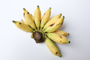 Bir tarak Lady Finger Bananas veya Sugar Bananas veya Fig Bananas veya Date Bananas veya Moses Acuminata. Beyaz arkaplanda izole