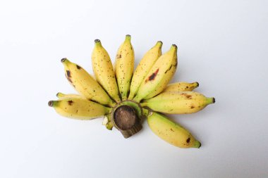 Bir tarak Lady Finger Bananas veya Sugar Bananas veya Fig Bananas veya Date Bananas veya Moses Acuminata. Beyaz arkaplanda izole