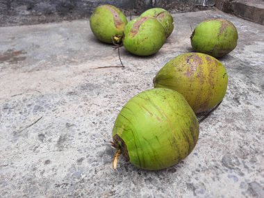 Yeşil hindistan cevizi ya da genç hindistan cevizi, yerde, yukarıdan görünüyor.