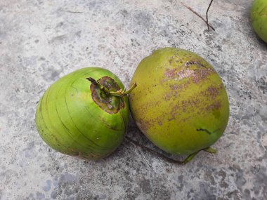 Yeşil hindistan cevizi ya da genç hindistan cevizi, yerde, yukarıdan görünüyor.