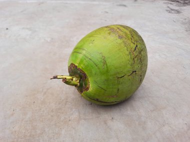 Yeşil hindistan cevizi ya da genç hindistan cevizi, yerde, yukarıdan görünüyor.