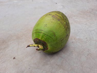 Yeşil hindistan cevizi ya da genç hindistan cevizi, yerde, yukarıdan görünüyor.