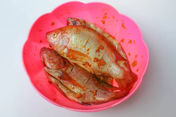 Red Nile Tilapia Red Tilapia Eller Oreochromis Niloticus Färsk Fisk — Stockfoto