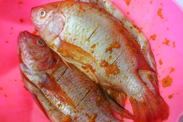 赤ナイル ティラピア または赤ティラピア またはオレオクロミス ニロイカス 新鮮な魚は マッシュウコンで味付け ピンクのボウルの中で 白い背景に隔離された — ストック写真